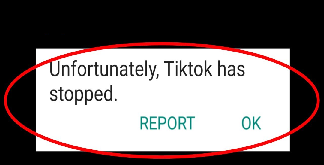 Consertar “Infelizmente, TikTok parou” no Android