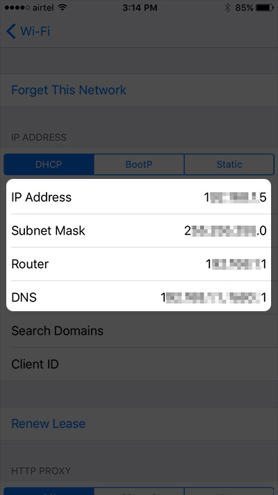 dns1