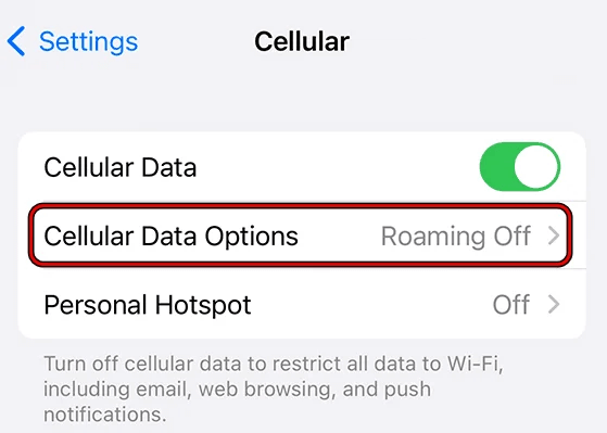 enable-disable-cellular-data