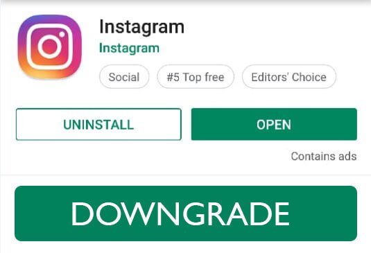 Go-For-Instagram-Old-Version